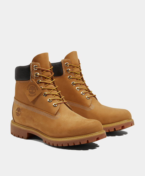 Timberland Bota Premium 6 Inch. Waterproof